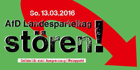 afd_parteitag_hsh_banner_480x240